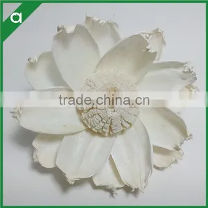 Sola Wood Paper Flower for Reed Diffuser thumbnail-1