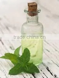 SPEARMINT Oil thumbnail-1
