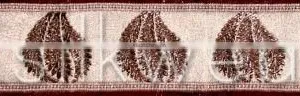 Sari Border thumbnail-1