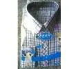 Shirt for Children thumbnail-1