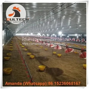 Yemen Layer Farm & Poultry Farming Equipment Broiler Floor Raising System & Chicken Deep Litter System With Automatic Drinking & Feeding Pan System in Chicken Coop thumbnail-1