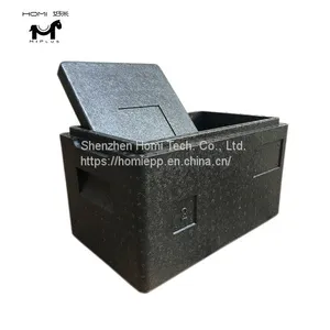 14L Eco-Friendly Pass Insulation Epp Foam Cooler Outside Delivery Box thumbnail-1