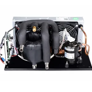 24V R134A Small Cooling Chiller DC Refrigeration Unit for Medical-Aesthetic Cooling thumbnail-1