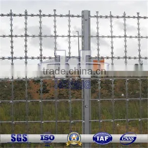 Square Mesh Hot Dip Galvanized Welded Razor Wire Mesh Fence thumbnail-1