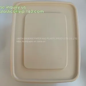 Disposable Corn Starch Plates, Biodegradable Corn Starch Food Container, Biobased Food Tray, Disposable Plastic Takeaway Meal Tray, Corn Starch Blister Packaging Tray, Blister Packaging thumbnail-3