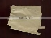 Mango Fruit Growing Paper Bag thumbnail-3