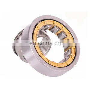 NJ 202 203 204 205 EM Cylindrical Roller Bearing for Reducer and Air Compressor thumbnail-1
