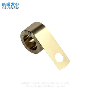 Stainless Steel Constant Force Spring for Cosmetic Boosters thumbnail-3
