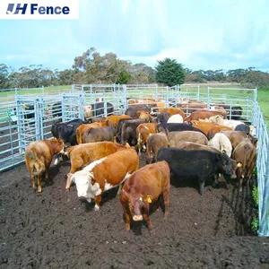 Customized Oval Rail Cattle Yards Panel Horse Arena Fencing Galvanised Fence thumbnail-1