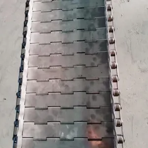 Customized Source Factory Wholesale Price for Heavy-duty Plate Chain Conveyor Belt thumbnail-4