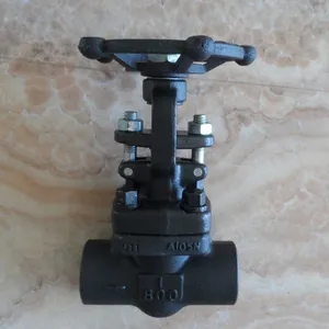 F304 Stainless ANSI Forged Globe Valve for Chemical Industry With Flanged ASME B16.5 thumbnail-4