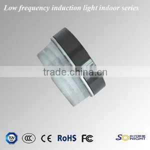 2015 New Idea Anti-corrosion Aluminum Induction Lamps 60W Indoor Light thumbnail-4