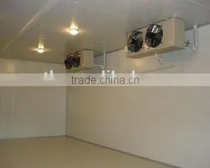 PU Sandwich Panel Fruits/vegetables Cold Room Storage thumbnail-1