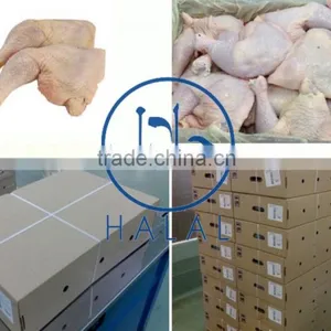 GRADE A BRAZILIAN HALAL FROZEN WHOLE CHICKEN READY FOR EXPORT ANY PORT OF YOUR CHOICE thumbnail-3