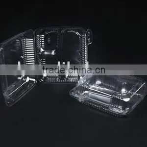 Clamshell Fruit Packaging thumbnail-1