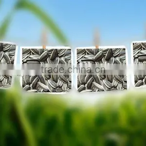 Wholesale Sunflower Seeds 5009 for Human Consumption thumbnail-4
