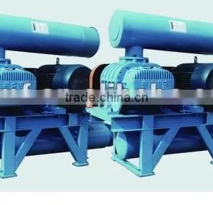 Roots Vacuum Pump thumbnail-1
