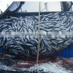 Single - Ship (double - Ship ) Bottom Trawl Nets of Small Meshes for Catching Hairtail thumbnail-1