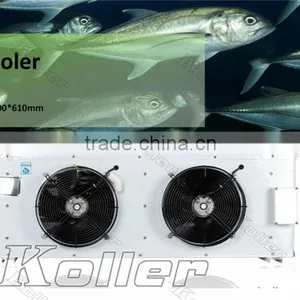 Walk in Koller Freezer Cold Room for Fishery thumbnail-4