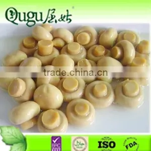 Sliced Champignon Mushroom in Brine, Sliced Mushroom, Sliced Canned Mushroom thumbnail-1