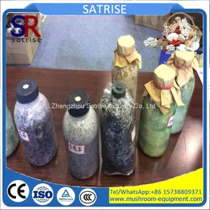 High and Top Quality Economical Price King Oyster Mushroom Plastic Bottles thumbnail-1