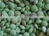 Lentil thumbnail-1