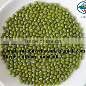 2014 Crop Green Mung Bean-anthony.vilaconic@gmail.com thumbnail-1