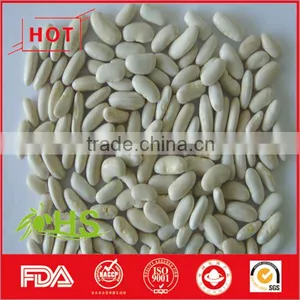 Chinese White Kidney Beans of Wholesale Price thumbnail-5