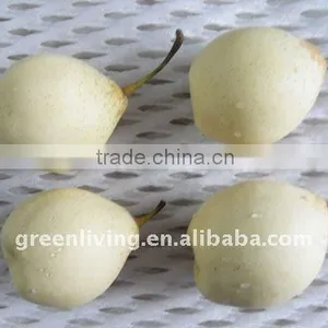 ya Pear in China Market thumbnail-1