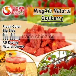 Ningxia Goji Berries is the Best Tonic thumbnail-4