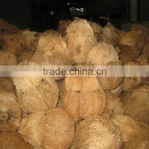 Cheap Mature Coconut thumbnail-3