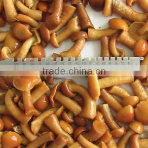 Canned Nameko thumbnail-1