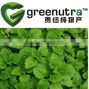 Basil Extract thumbnail-1