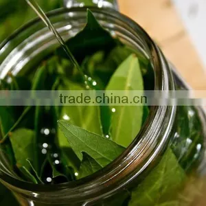 BAY ESSENTIAL OIL thumbnail-1