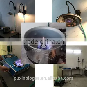 Mini Size Portable Assembly Biogas Plant thumbnail-6