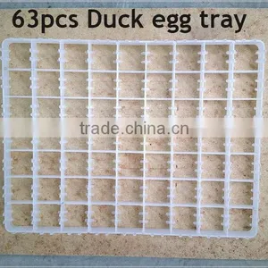 88pcs Chicken Egg Tray for Incubator thumbnail-2