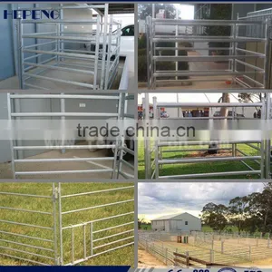 Sheep Farming/farm Equipment Hotsale thumbnail-1