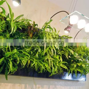 2016 Compound Wall Design,outdoor Green Plants,future Design Fake Plants Wall thumbnail-2