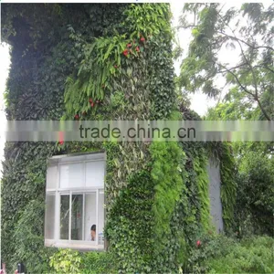 China Wholesale Artificial Plant Wall Manufacturer Foliage Plants Wall Green Wall Fake Plants Insulation thumbnail-1