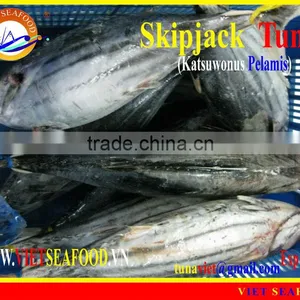 FROZEN SKIPJACK TUNA WHOLE ROUND thumbnail-1