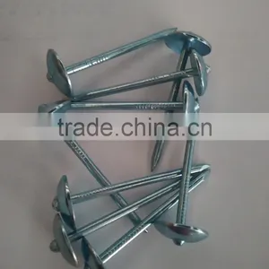 Blue Galvanized Roofing Nails to Indonesia thumbnail-2