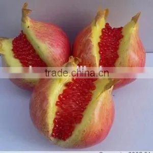 3 Opened Plastic Artificial Pomegranates Fruits Fake Fruits Faux Pomegranates thumbnail-1