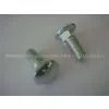 Carriage Bolts thumbnail-1