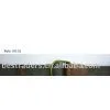 CANVAS BELT thumbnail-1