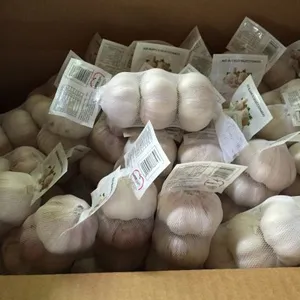 Pioneer Garlic Group company overview - view 2 thumbnail