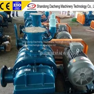 DSR50V Roots Vacuum Pump for Biogas Suction and Discharge thumbnail-1