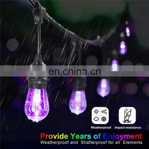 IP65 Christmas Decoration RGB Chasing S14 LED String Light Weatherproof Garden Outdoor Weddings Party Light thumbnail-4