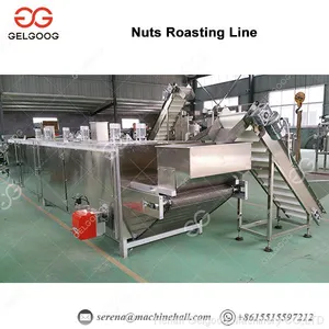 Commercial Melon Seeds Peanut Pistachio Nut Roaster Roasting Machine Roasted Chickpea Production Line thumbnail-1
