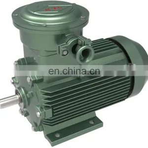 Motor Machine Three Phase Induction Motor20 hp Electric Motor Explosion Proof Motors thumbnail-2