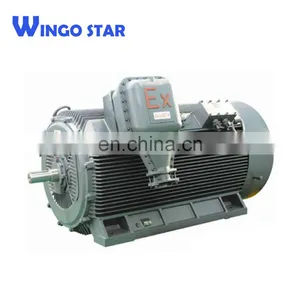 YB2 Series Three Phase Explosion Proof Induction Electric Motor thumbnail-4